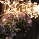 Illustration for article titled Photo Contest: Christmas Lights